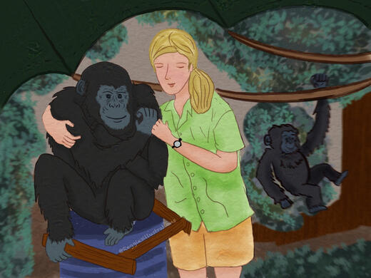 Primatologist Jane Goodall hugging a chimpanzee on a barrel, while a young chimpanzee plays in the background